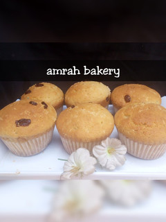 A picture of Coconut cup cake.