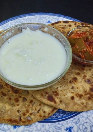 A picture of Sattu paratha.