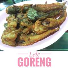 รูปของ Ikan Lele Goreng