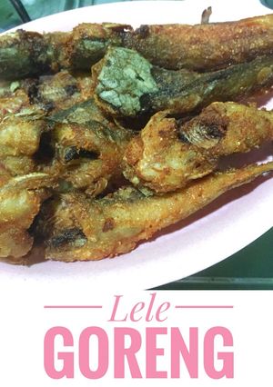 Foto resep Ikan Lele Goreng