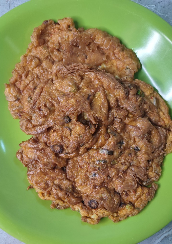 Foto resep Telur dadar santan