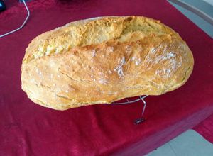 Foto principal de Pan con prefermento