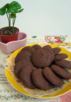 雙倍巧克力餅乾 的食譜成品照片