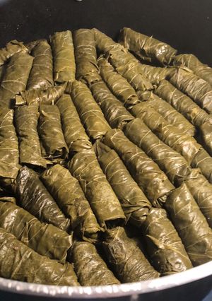 A picture of Grape LeavesDolma 2ورق عنب.
