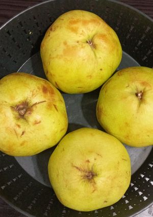 عکسی از دستور سیب و به