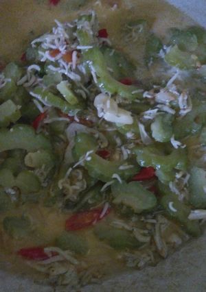 Foto resep Pare kuah masak teri