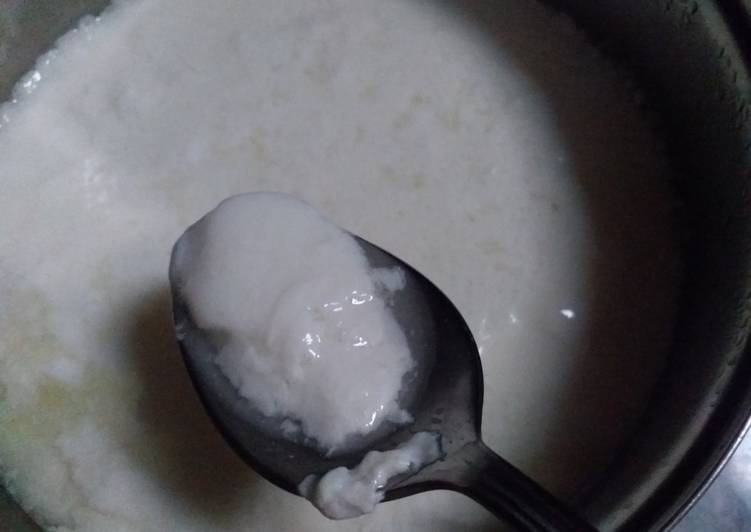 Steps to Prepare Ultimate Homemade Curd(Dahi)