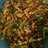 2. Kering Tempe Kacang Awet Renyah