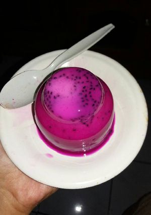 Foto resep Puding susu naga merah
