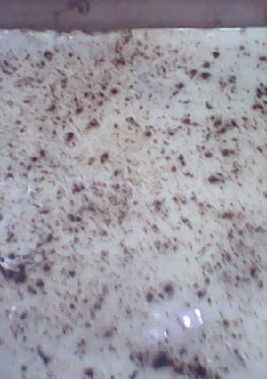 صورة لوصفة حلى السوميه