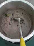 Sayur gude