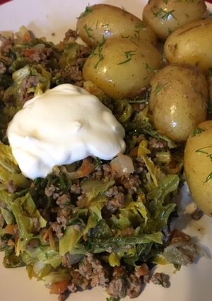 A picture of Mince and cabbage stew.