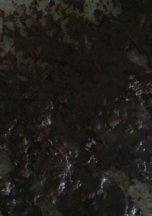Foto resep Selai Choco Milk Crunchy