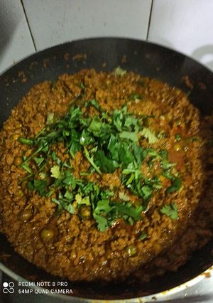 A picture of Veg Soya Keema Matar.
