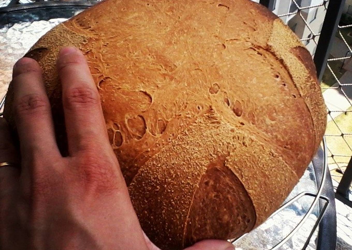 Italian bread made ​​with sourdough (homemade). 26 hours of fermentation