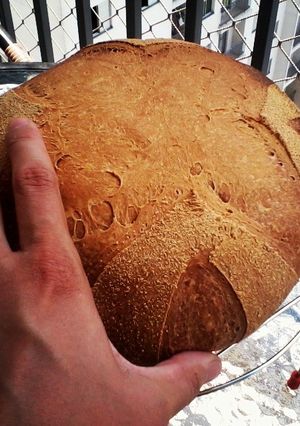 A picture of Italian bread made ​​with sourdough (homemade). 26 hours of fermentation.