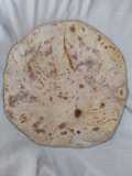 પૂરણ પોળી (Puran Poli Recipe In Gujarati)