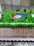 Torta de cumple "Cancha de fútbol"
