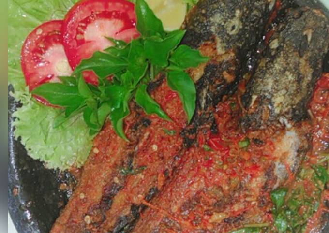 Resep: Penyet Lele Sambal Terasi Daun Kemangi Ekonomis Untuk Jualan