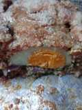Pan de Carne con Cebolla, Ajo, Perejil y Huevo Duro