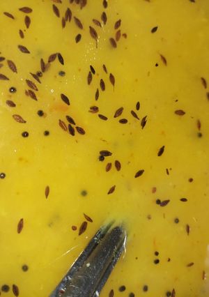 तुवर दाल तड़का (tuvar dal tadka recipe in Hindi) रेसिपी मुख्य फोटो