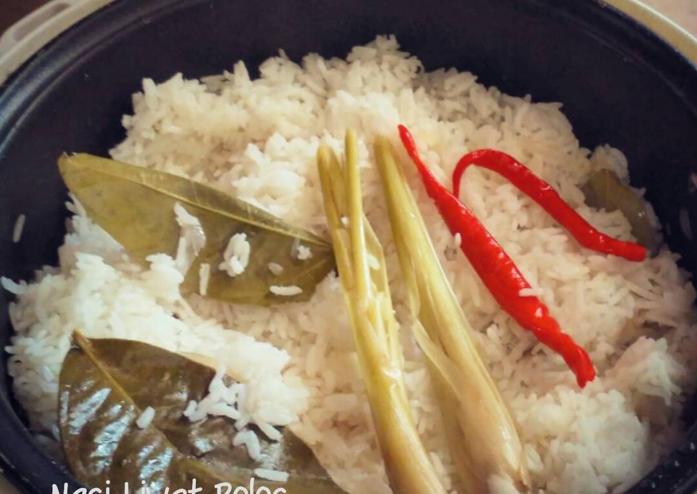 nasi biasa