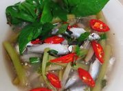Hình ảnh của bông súng