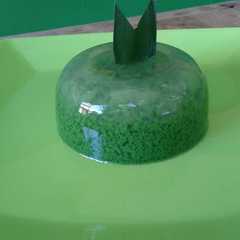 A picture of Puding lumut pandan.