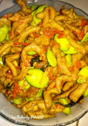 Foto resep Usus Ayam Pedas
