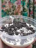 Cheesecuit Oreo