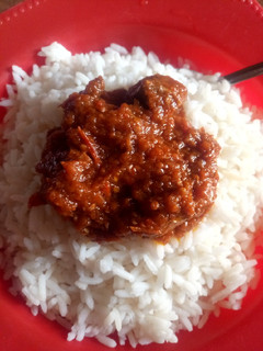A picture of Rice and stew.