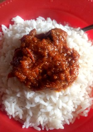 A picture of Rice and stew.
