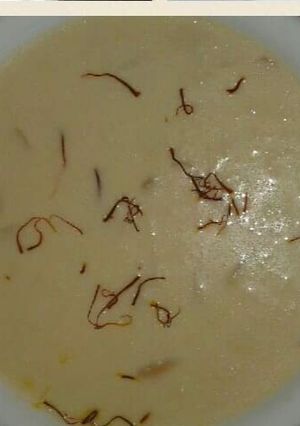 A picture of Rabdi.
