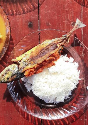 Gambar Cencaru sumbat