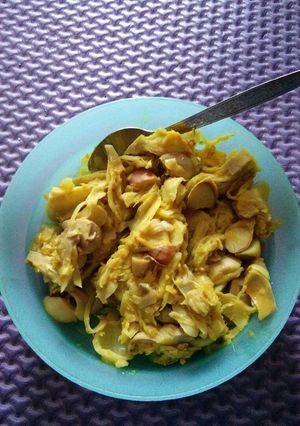 Foto resep Sayur nangka untuk bocah