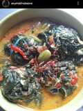 BuntiL Teri Medan Daun Pepaya