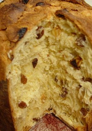 A picture of Thermomix Panettone.