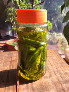 Una foto de Albahaca en conserva
