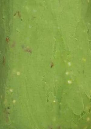 A picture of Mokimo.