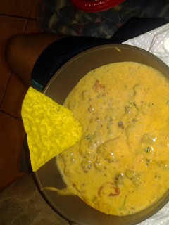 A picture of Queso Blanco dip.