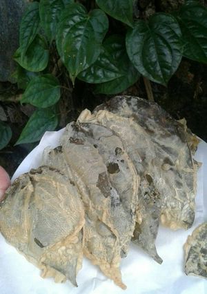 Foto resep Keripik daun sirih