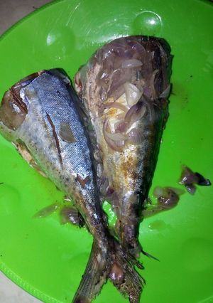 A picture of Parboiled fish.