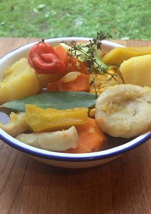 A picture of Soup 🌱.