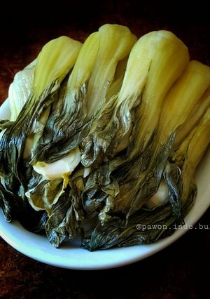 A picture of Homemade Bokchoy Pickle.