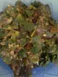 Mujaer sambel ijo