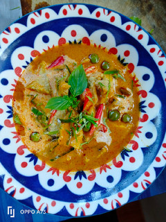 A picture of Pork Panang Curry 🐷.