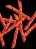 Taki Spice Powder