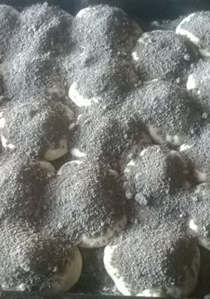 Una foto de Tortitas Negras