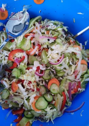 O poză a rețetei Ciolomada (Salată de murături).