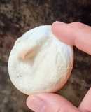 Galletitas de aquafaba o merenguitos fallidos, como te parezca 🤭 sin huevo 🌱